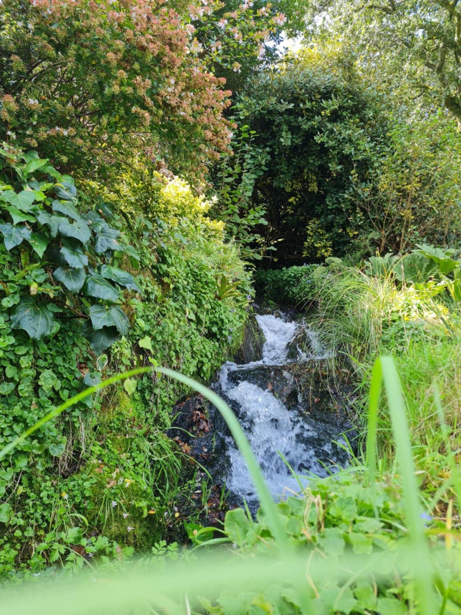 Moulin De Bonnescat Villa Plogonnec Екстериор снимка